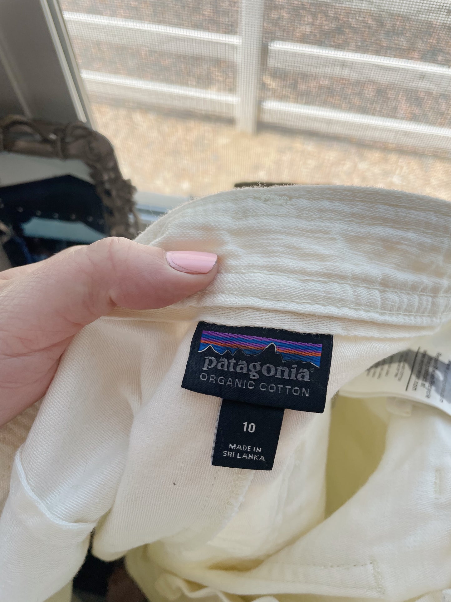 Patagonia Organic Cotton Shorts (Women's 10)
