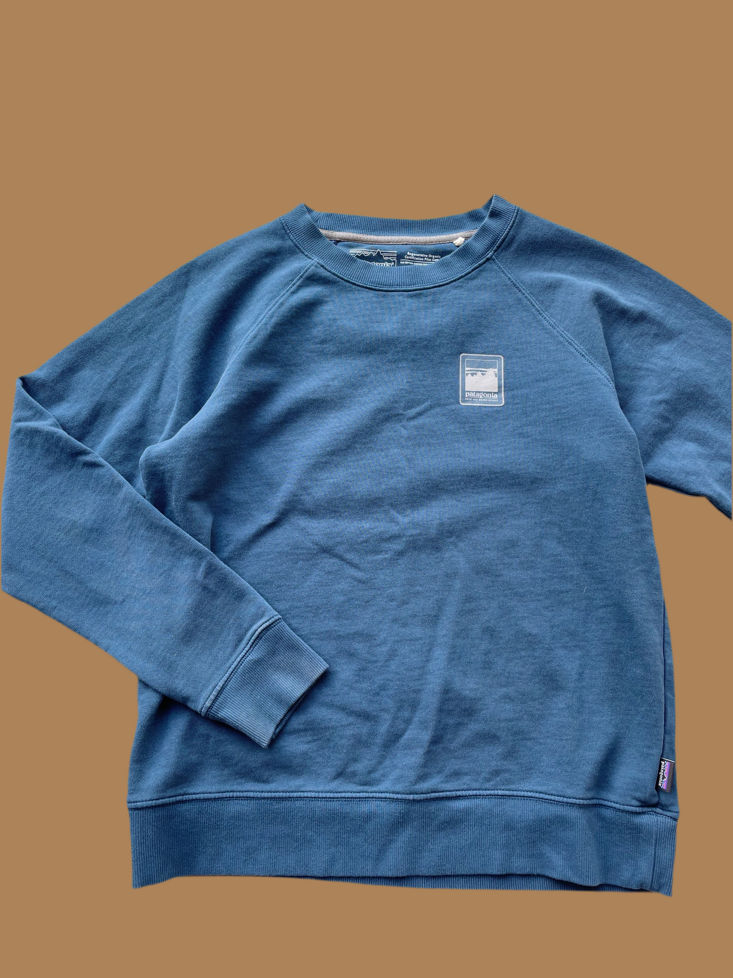 Patagonia Organic Cotton Crew (Women's M)