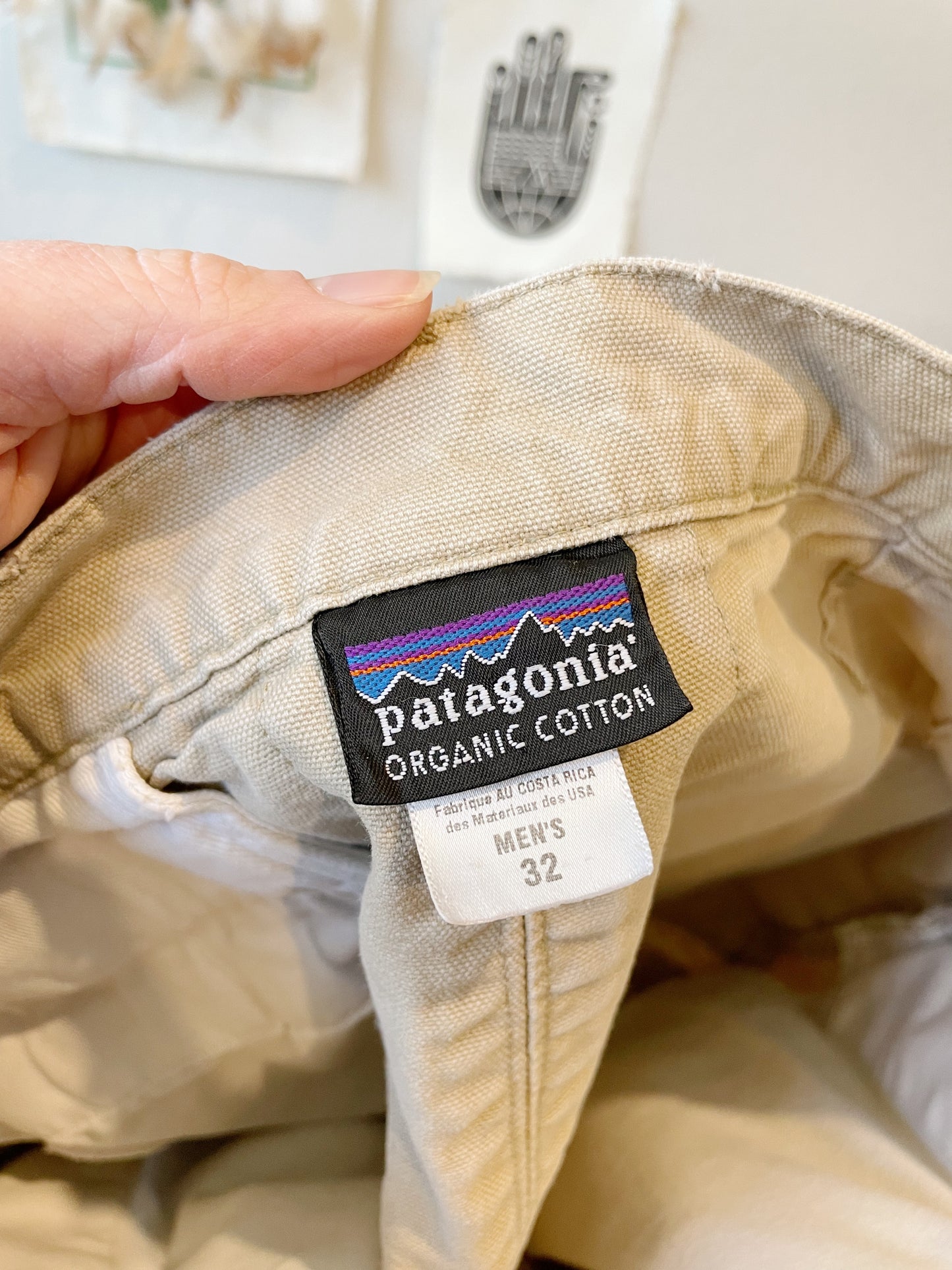 Vintage Patagonia Stand Up Shorts (30)