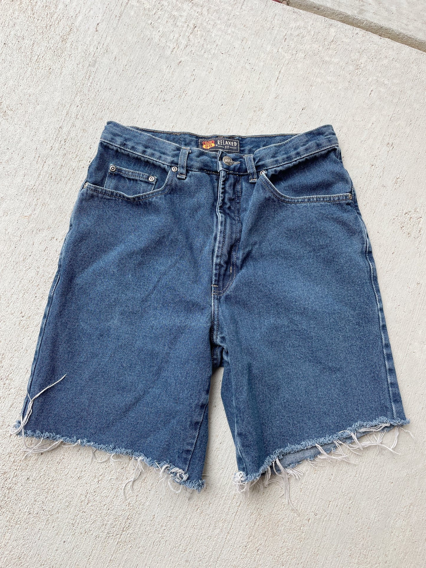 Vintage Dark Wash Jorts (29)
