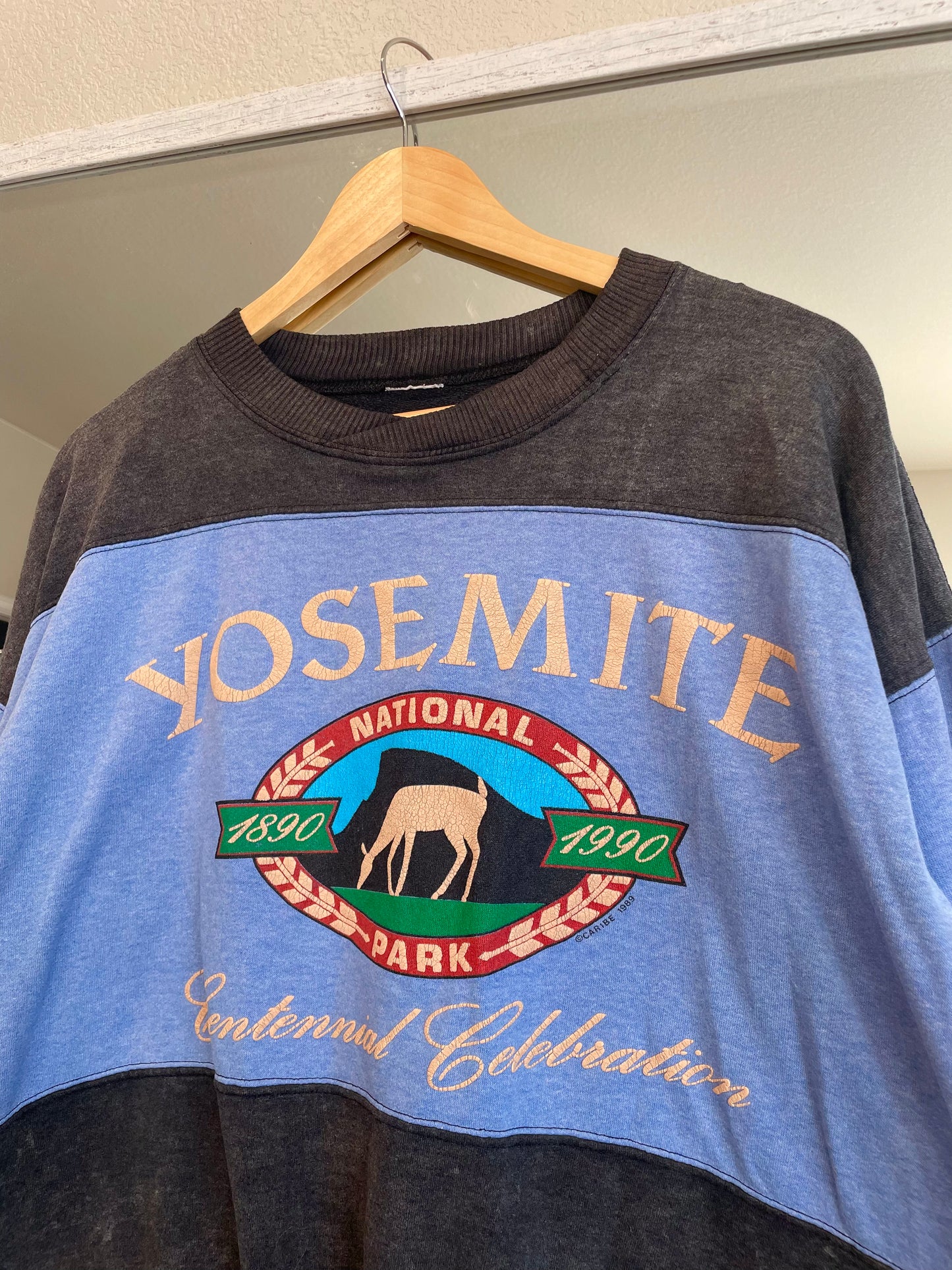 Vintage 1989 Yosemite Crewneck (XL)