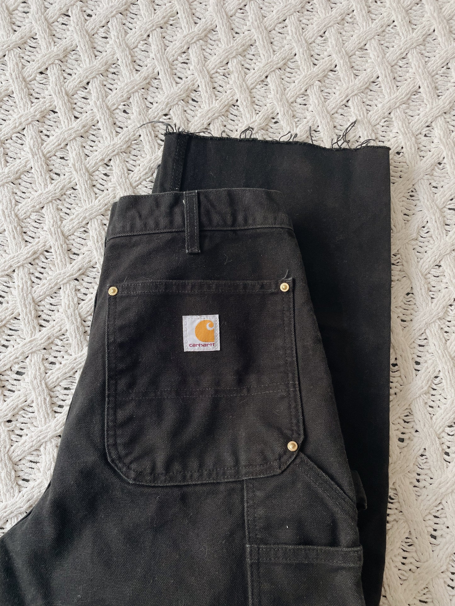 Carhartt Double Knee Pants (30)