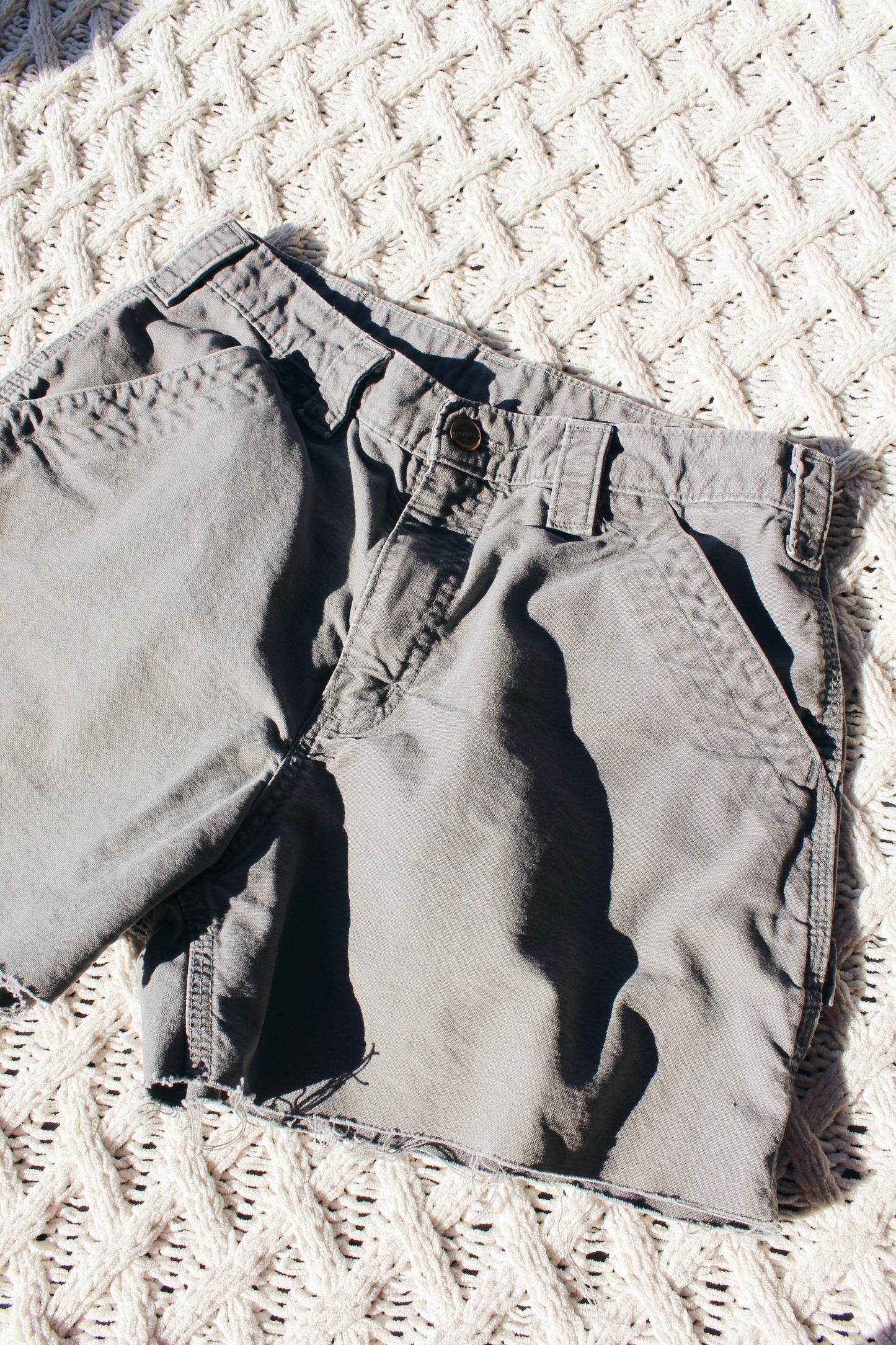 Carhartt Carpenter Shorts (29)