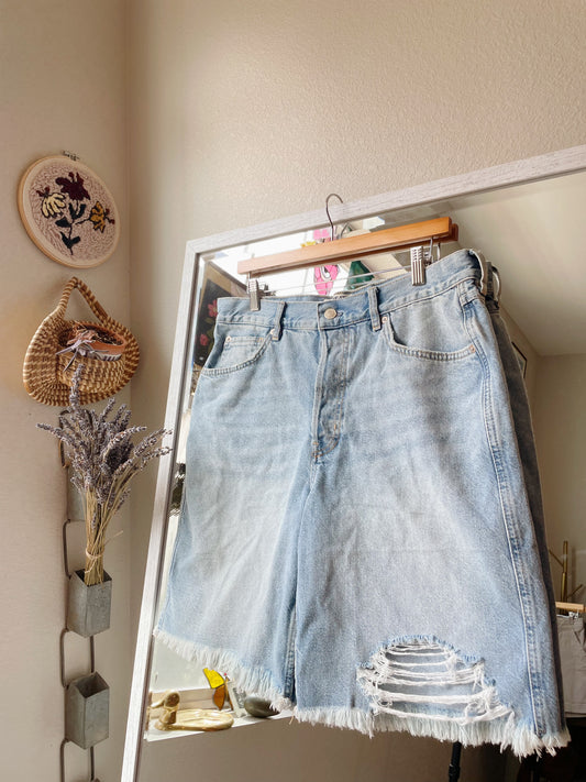 Free People Big Sur Boyfriend Shorts - NEW (30/32)