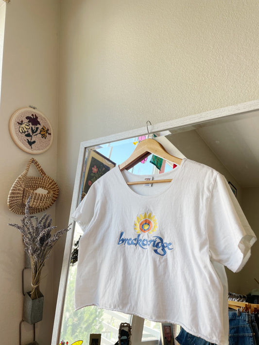 Vintage Breckenridge Tee (L)