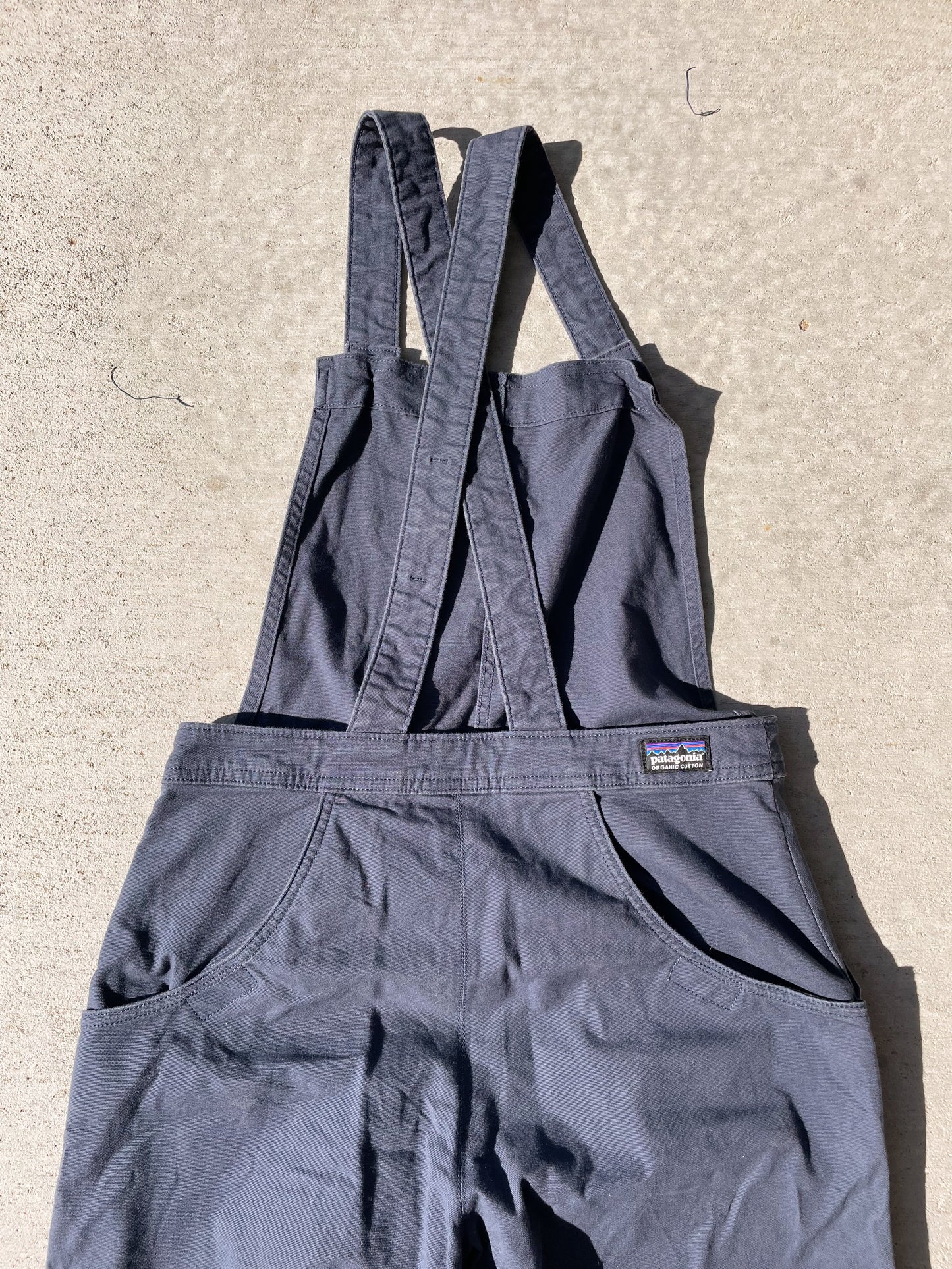 Patagonia Overalls (Womens 6)