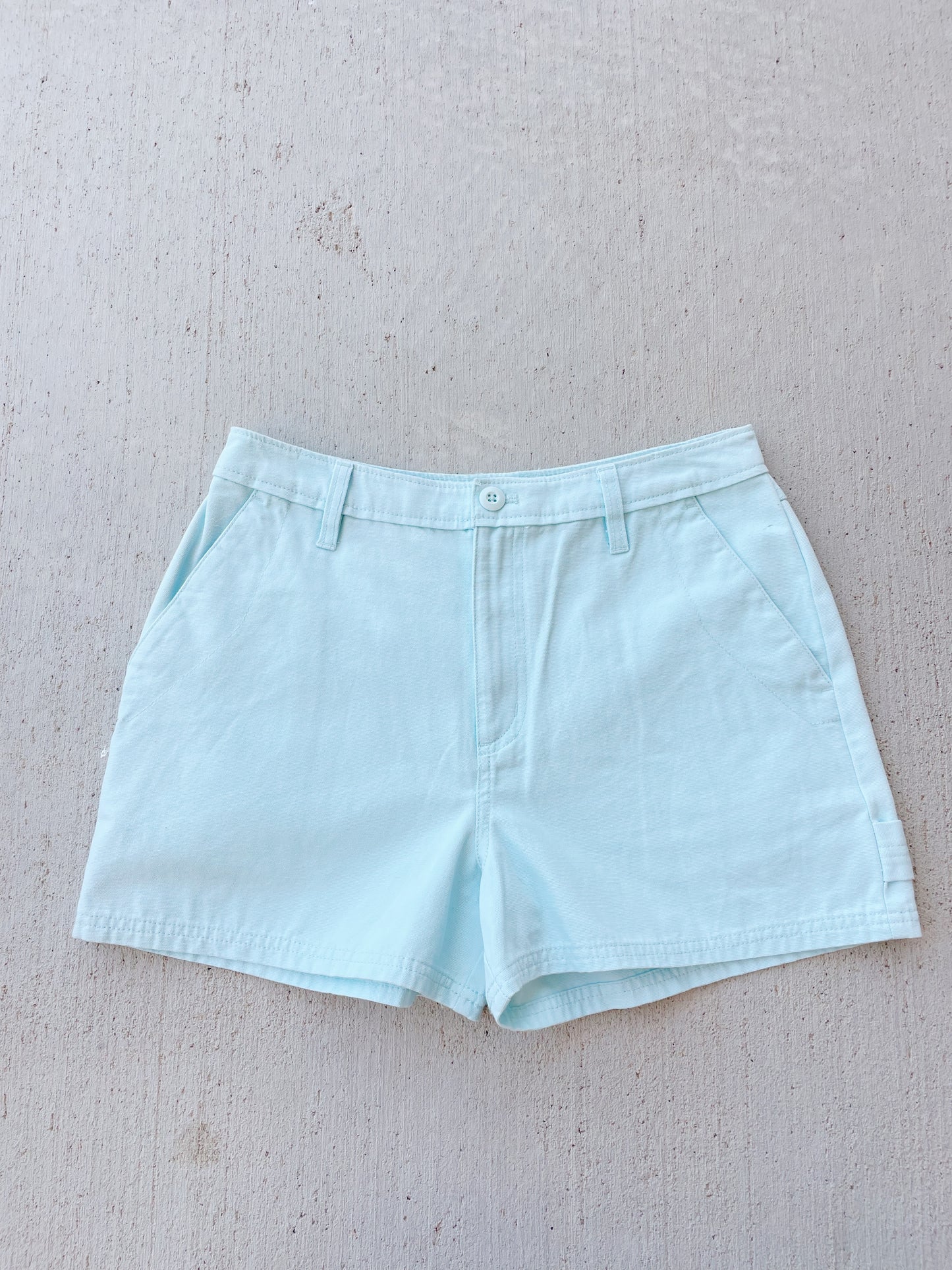 Vans Shorts (28)