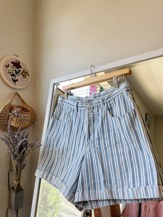 Vintage Arizona Striped Shorts (29)