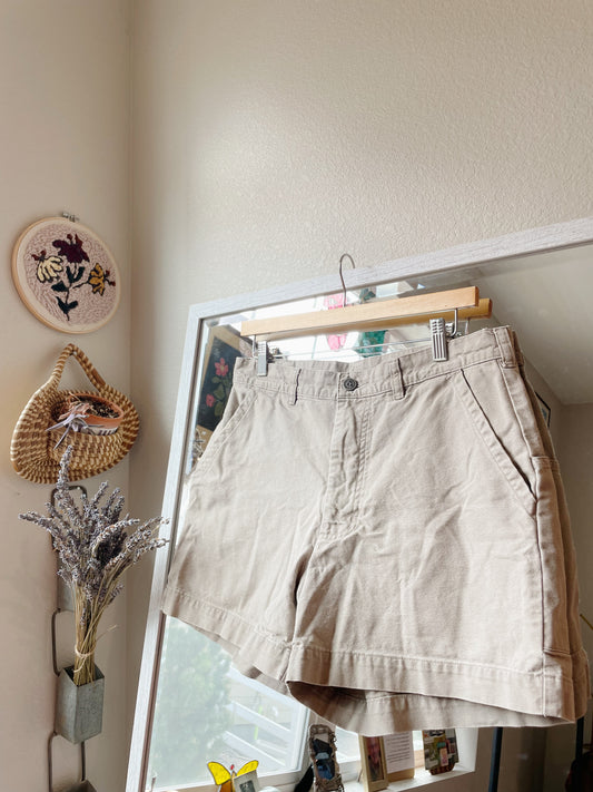 Vintage Patagonia Stand Up Shorts (30)