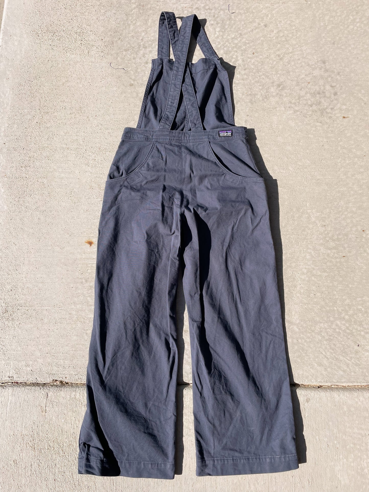 Patagonia Overalls (Womens 6)