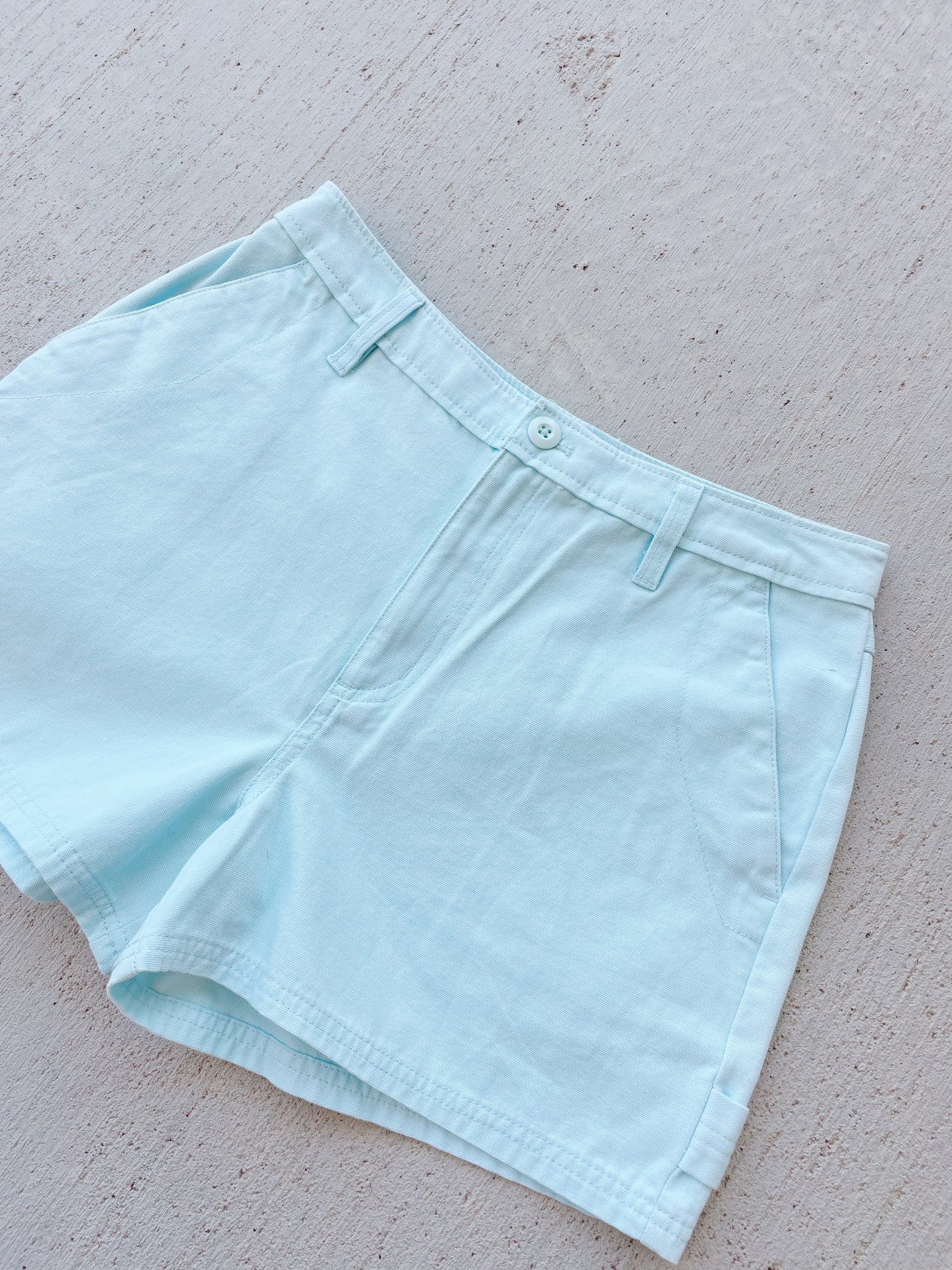 Vans Shorts (28)