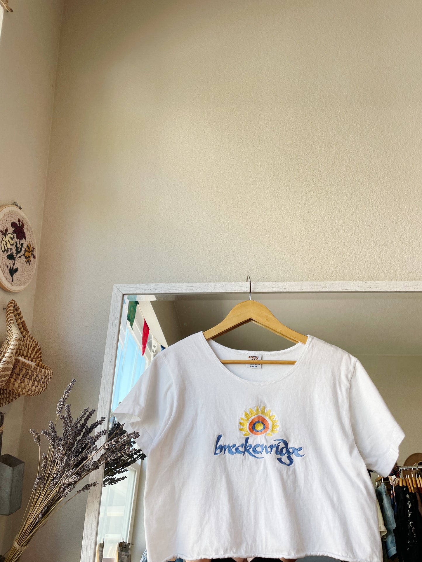 Vintage Breckenridge Tee (L)