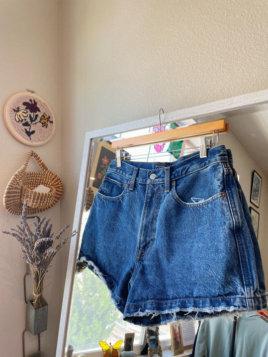 A&F Denim Shorts (28)