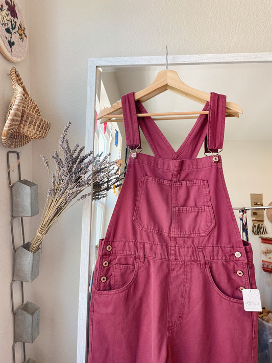 Free People Ziggy Overalls - NEW (M)