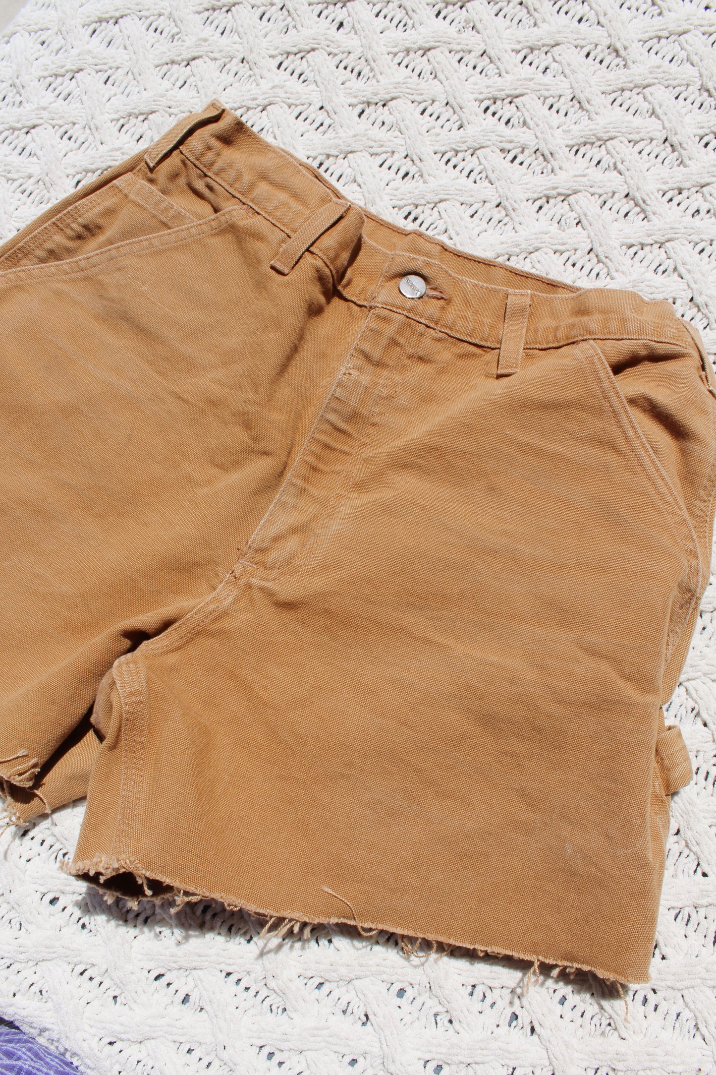 Carhartt Canvas Shorts (30)