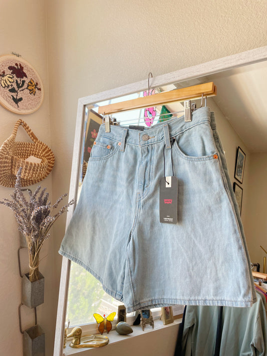 Levi's Baggy Linen Blend Shorts - NEW (25)