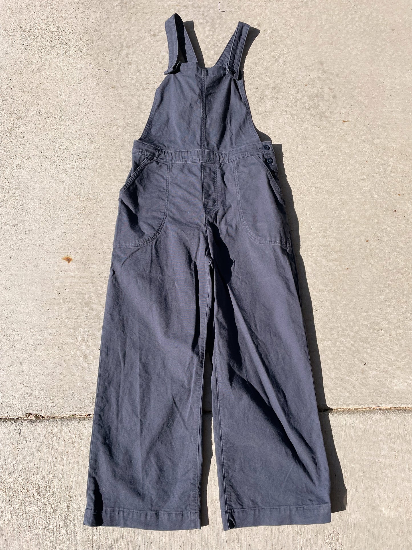 Patagonia Overalls (Womens 6)