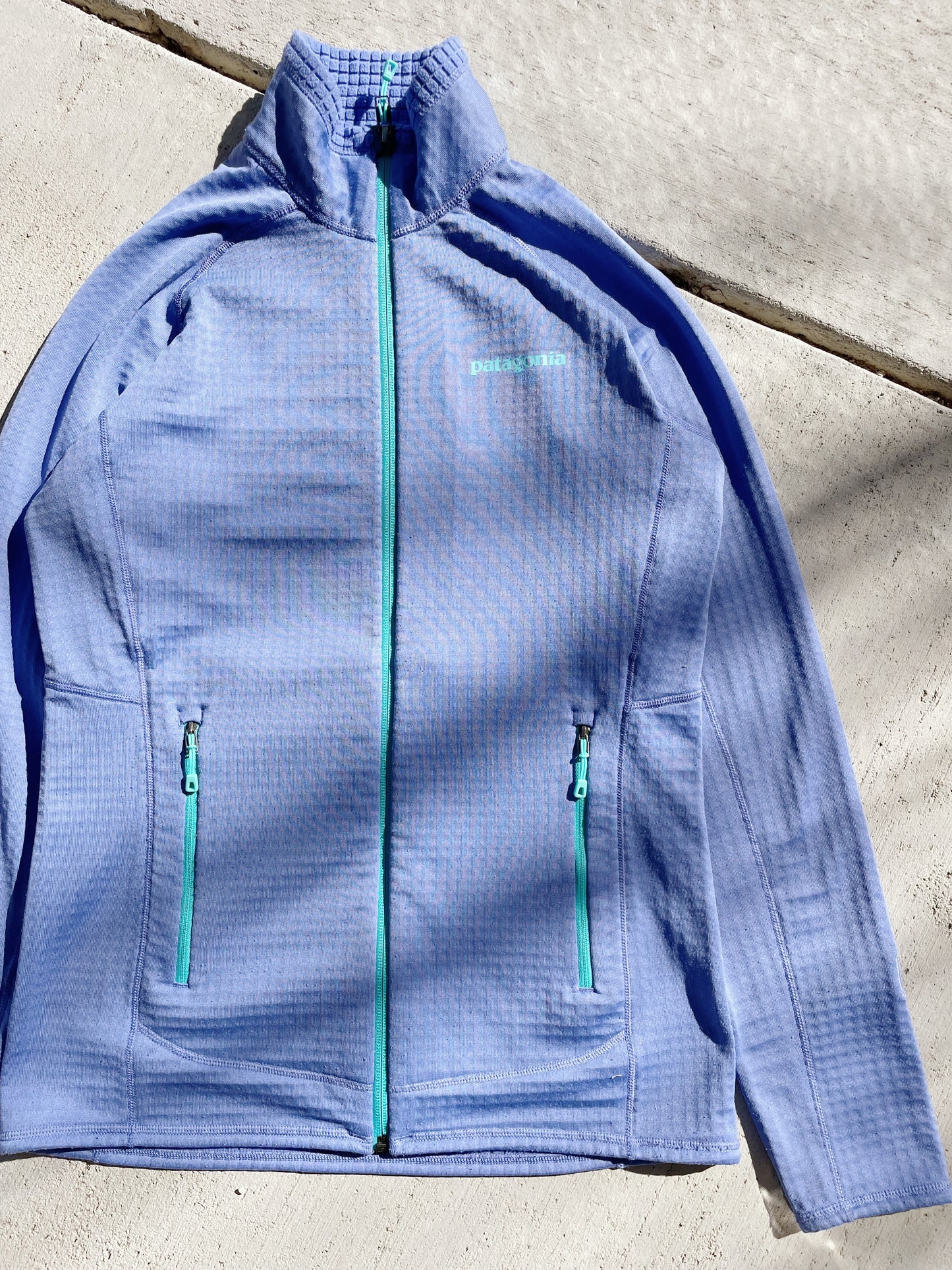 Patagonia R1 Regulator Fleece (Women's S)