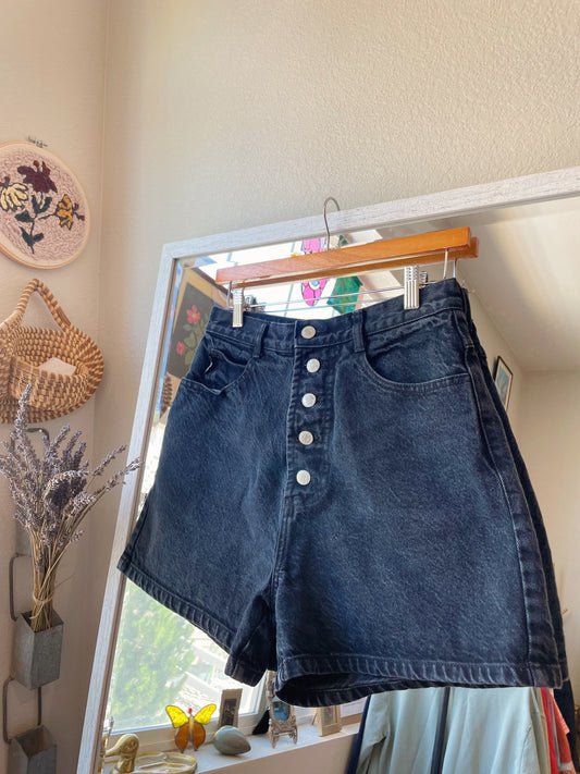 Vintage BONGO Button Fly Shorts (26)