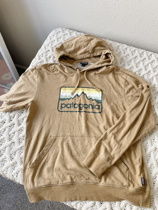 Patagonia Tan Hoodie (M)