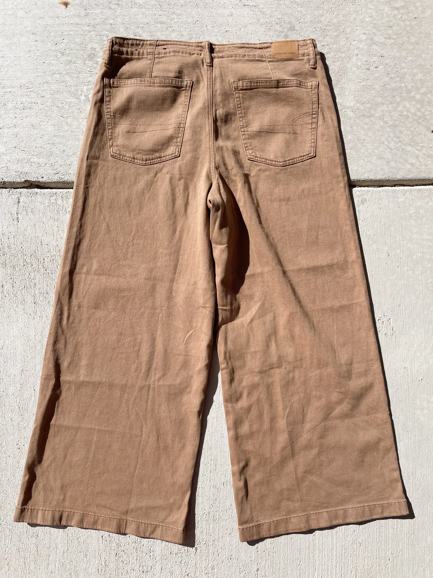 AE Brown Wide Leg Pants (Women’s 12)