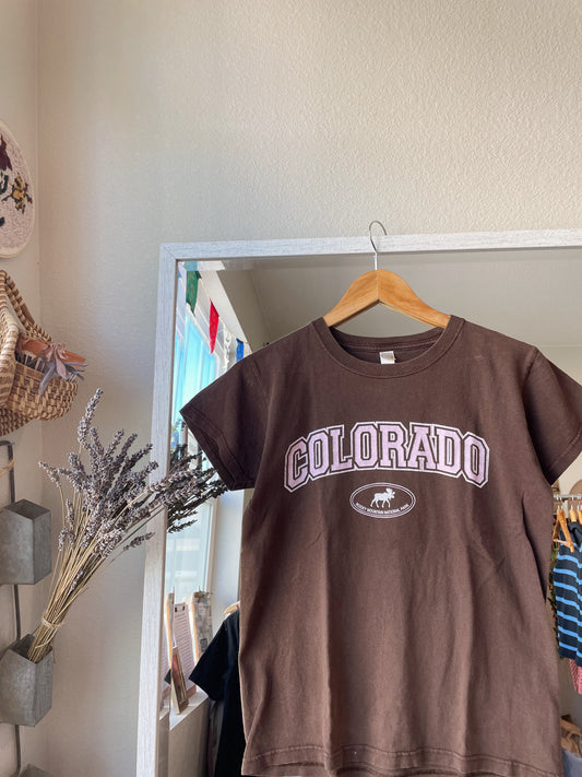 Vintage Brown Rocky Mtn Tee (Women's S)