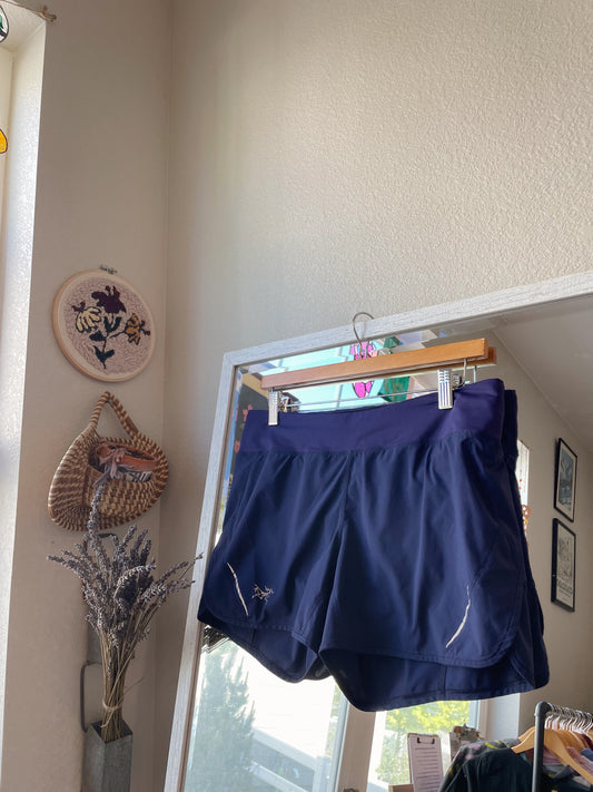 Arcteryx Navy Athletic Shorts (Women's M)