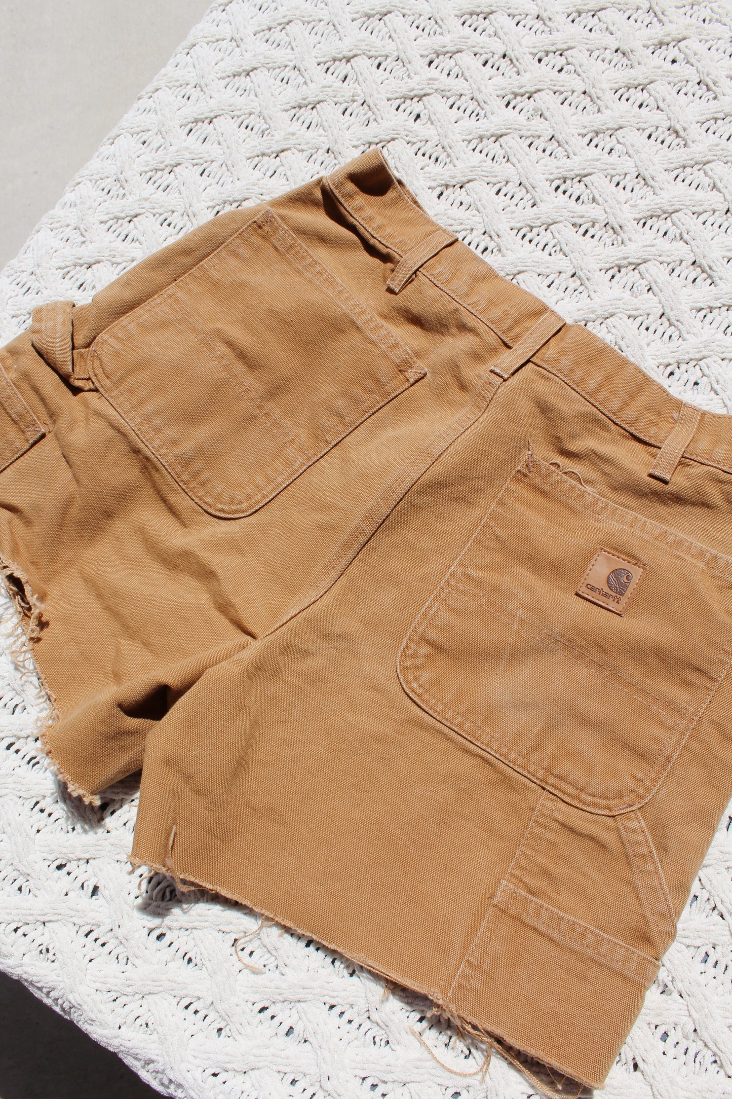 Carhartt Canvas Shorts (30)