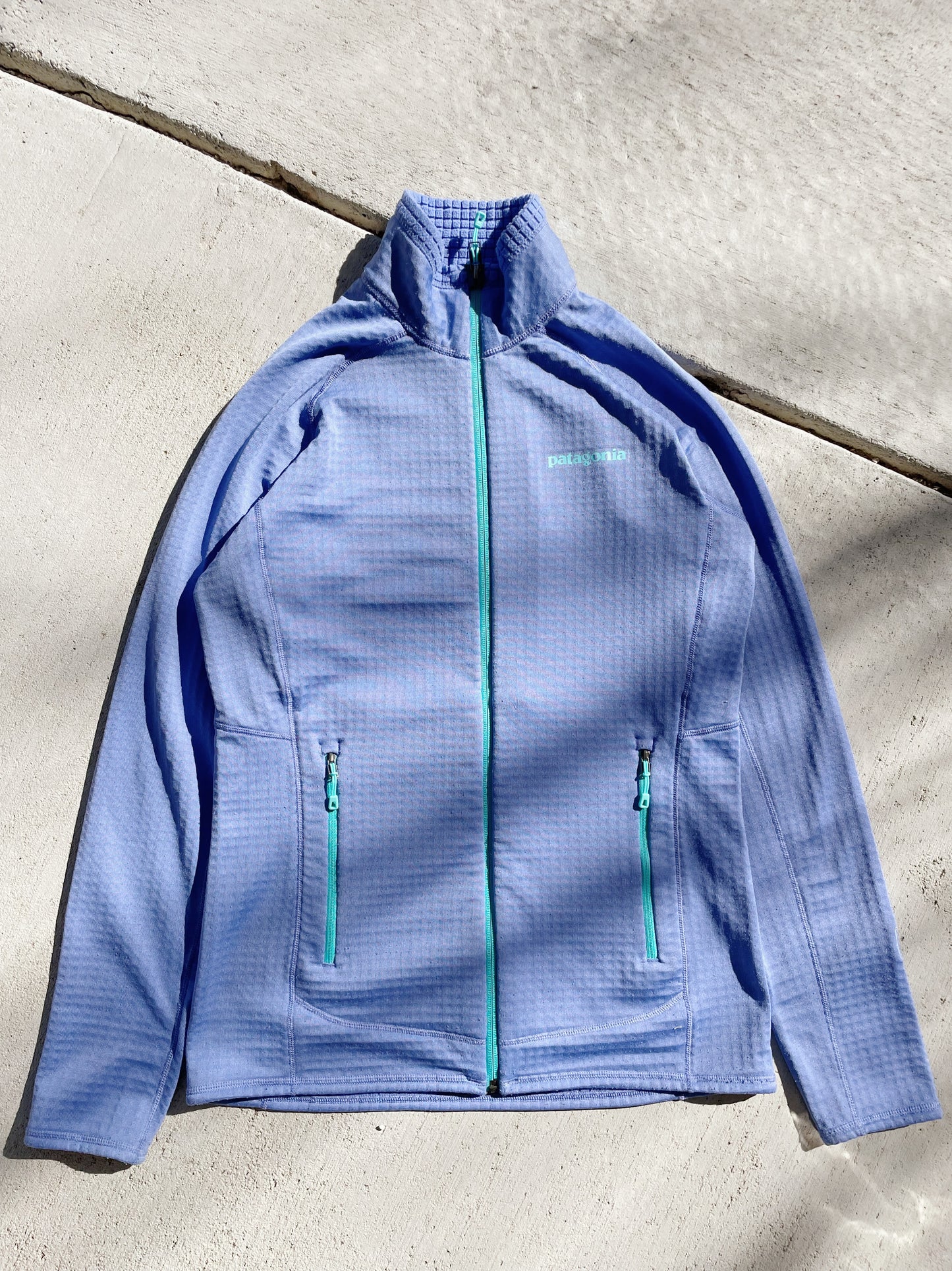 Patagonia R1 Regulator Fleece (Women's S)