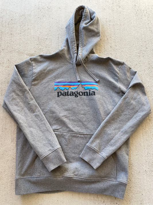 Patagonia Hoodie (L)