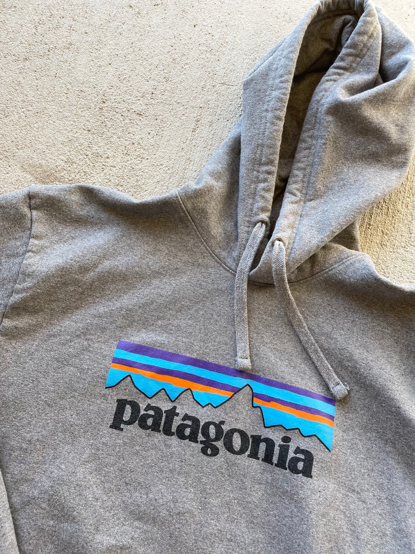 Patagonia Hoodie (L)