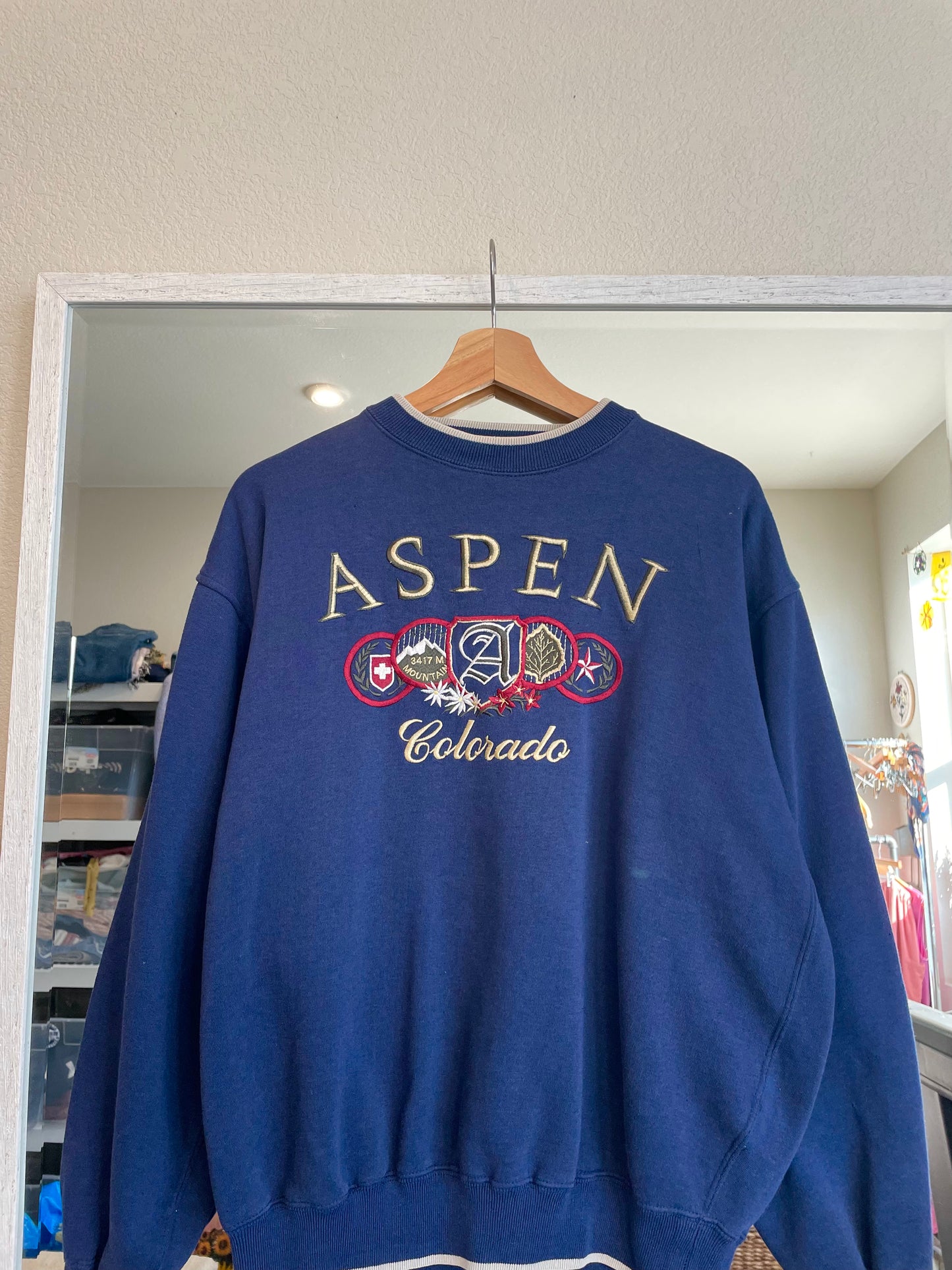 Vintage Aspen Crewneck (M)