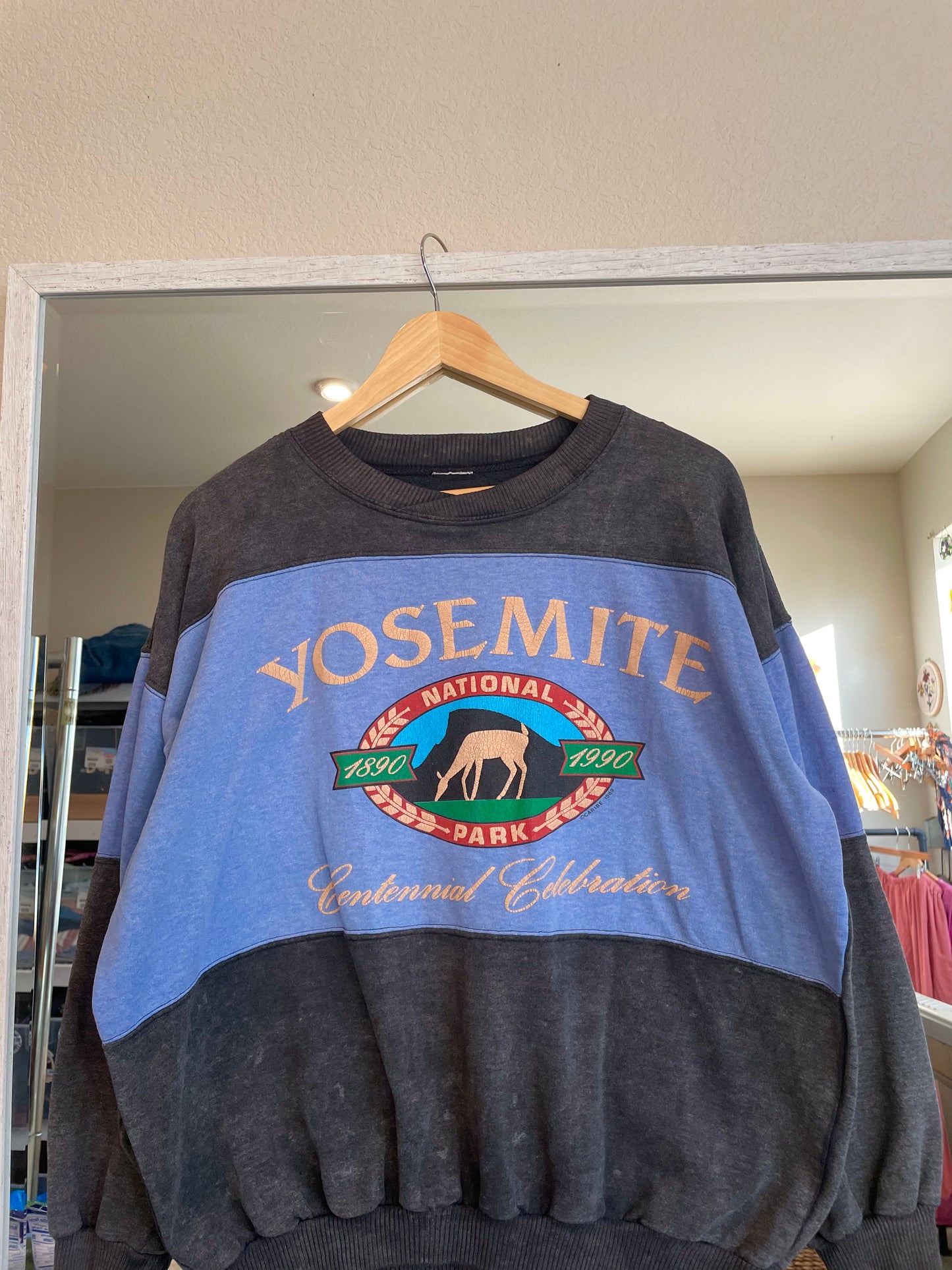 Vintage 1989 Yosemite Crewneck (XL)