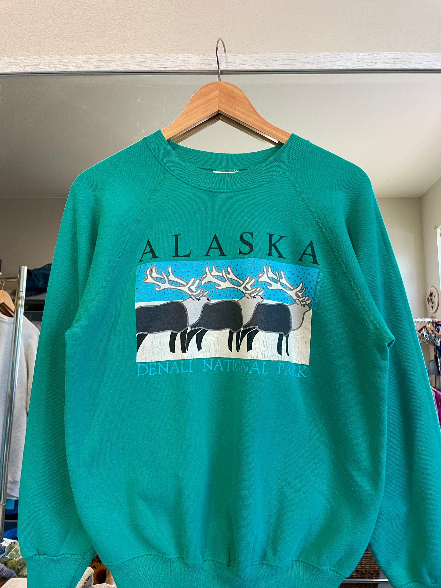 Vintage Teal Denali Alaska Crew (M)