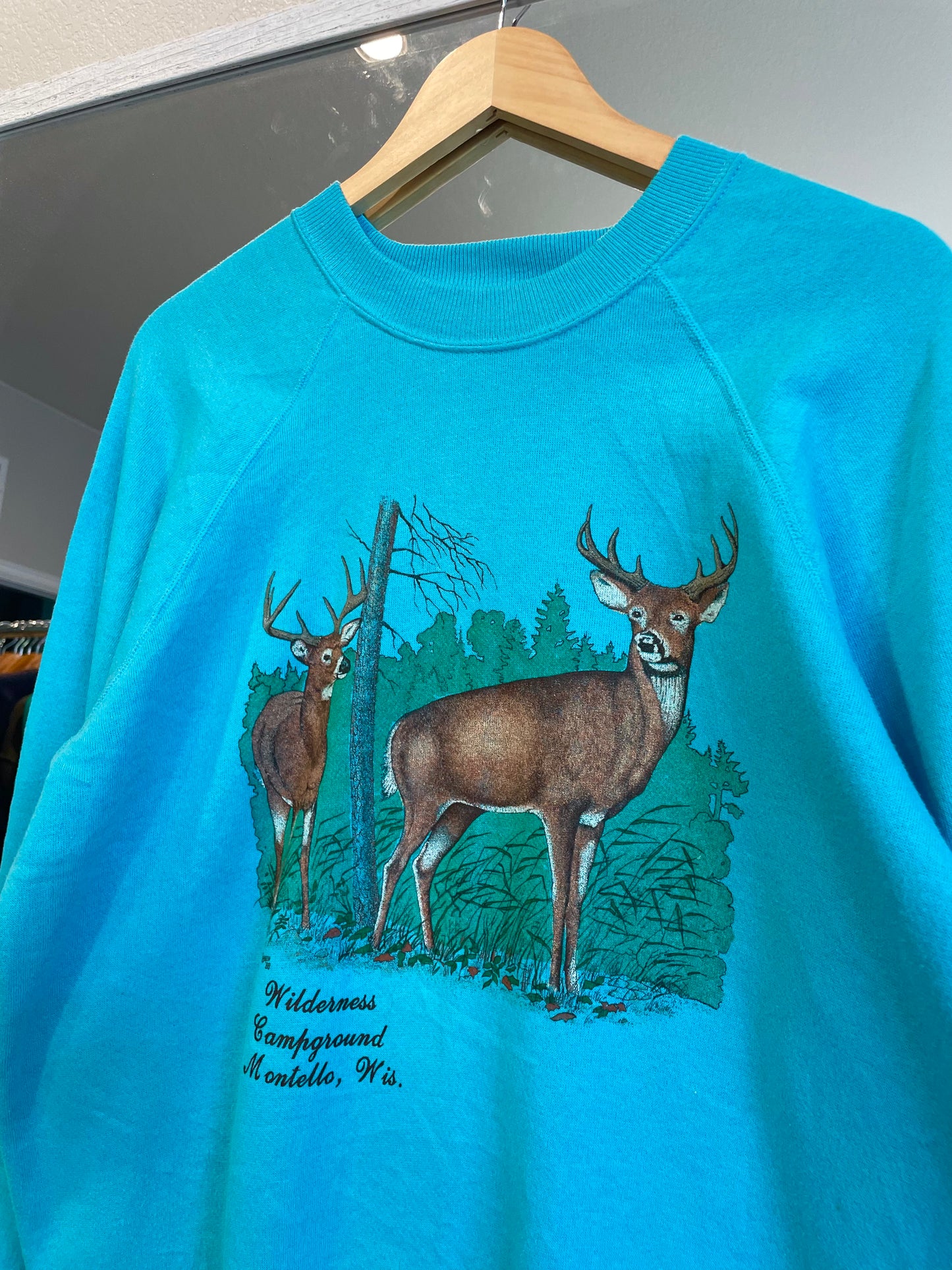 Vintage 1988 Teal Deer Crew (XL)