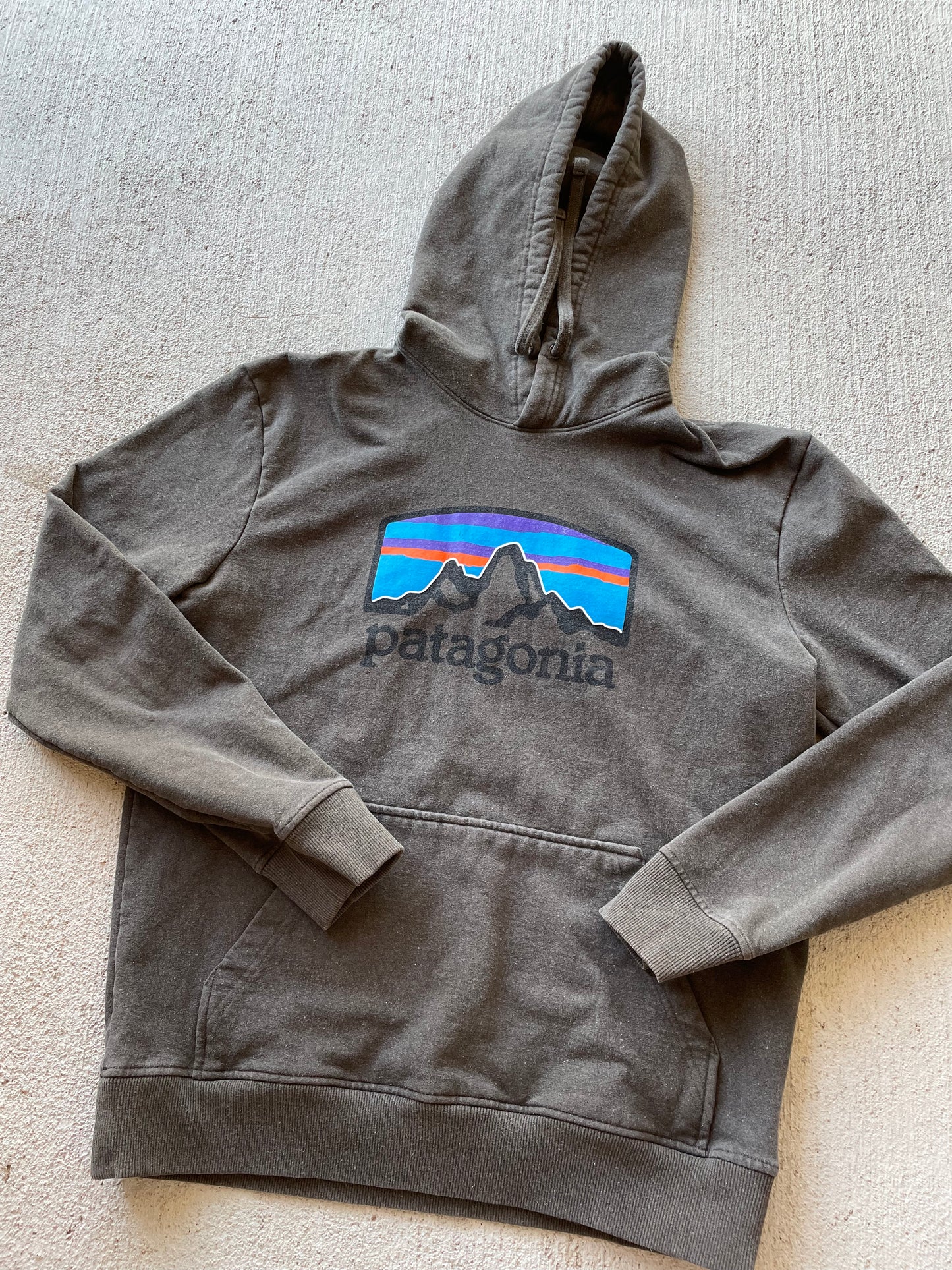 Patagonia Organic Cotton Hoodie (M)