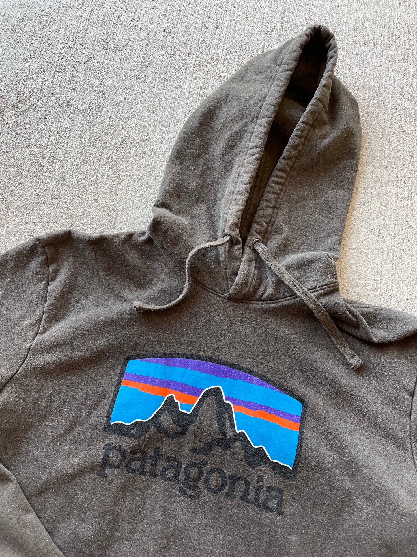 Patagonia Organic Cotton Hoodie (M)