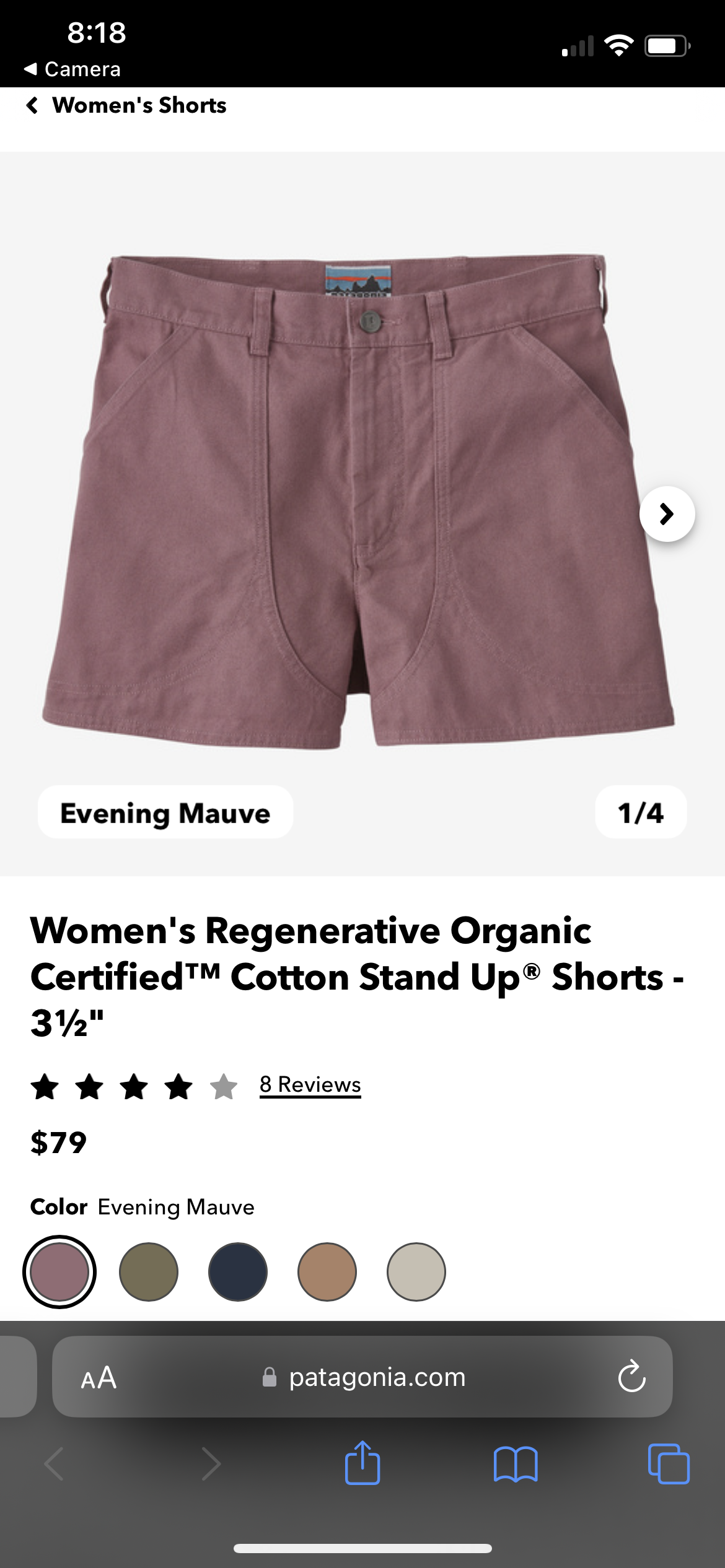 Patagonia Mauve Stand Up Shorts - NEW (29)