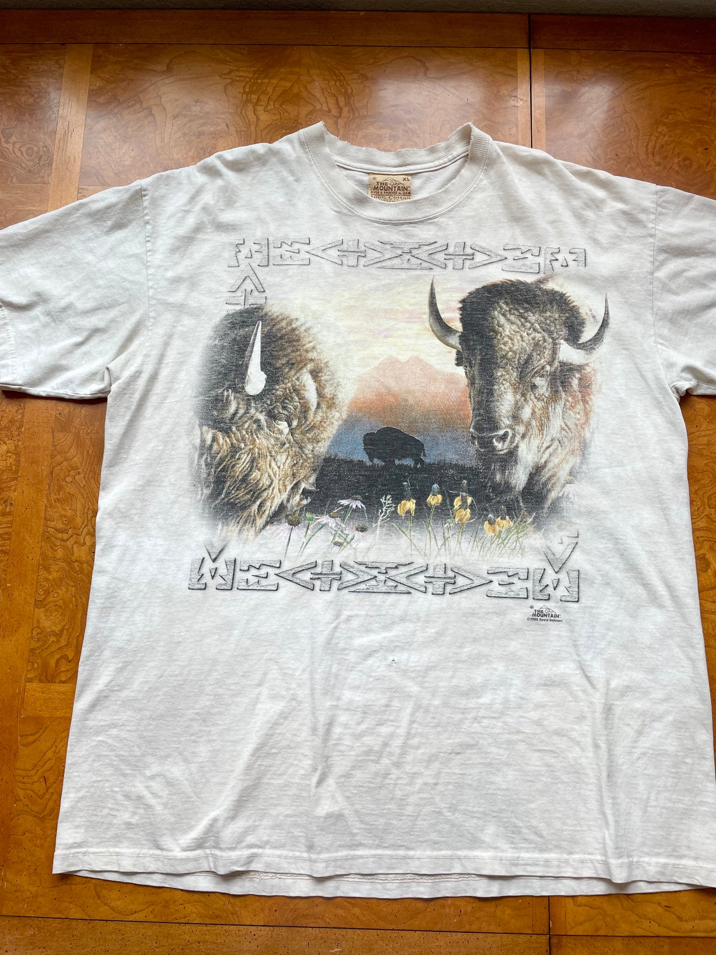 Vintage Buffalo Graphic Tee (XL)