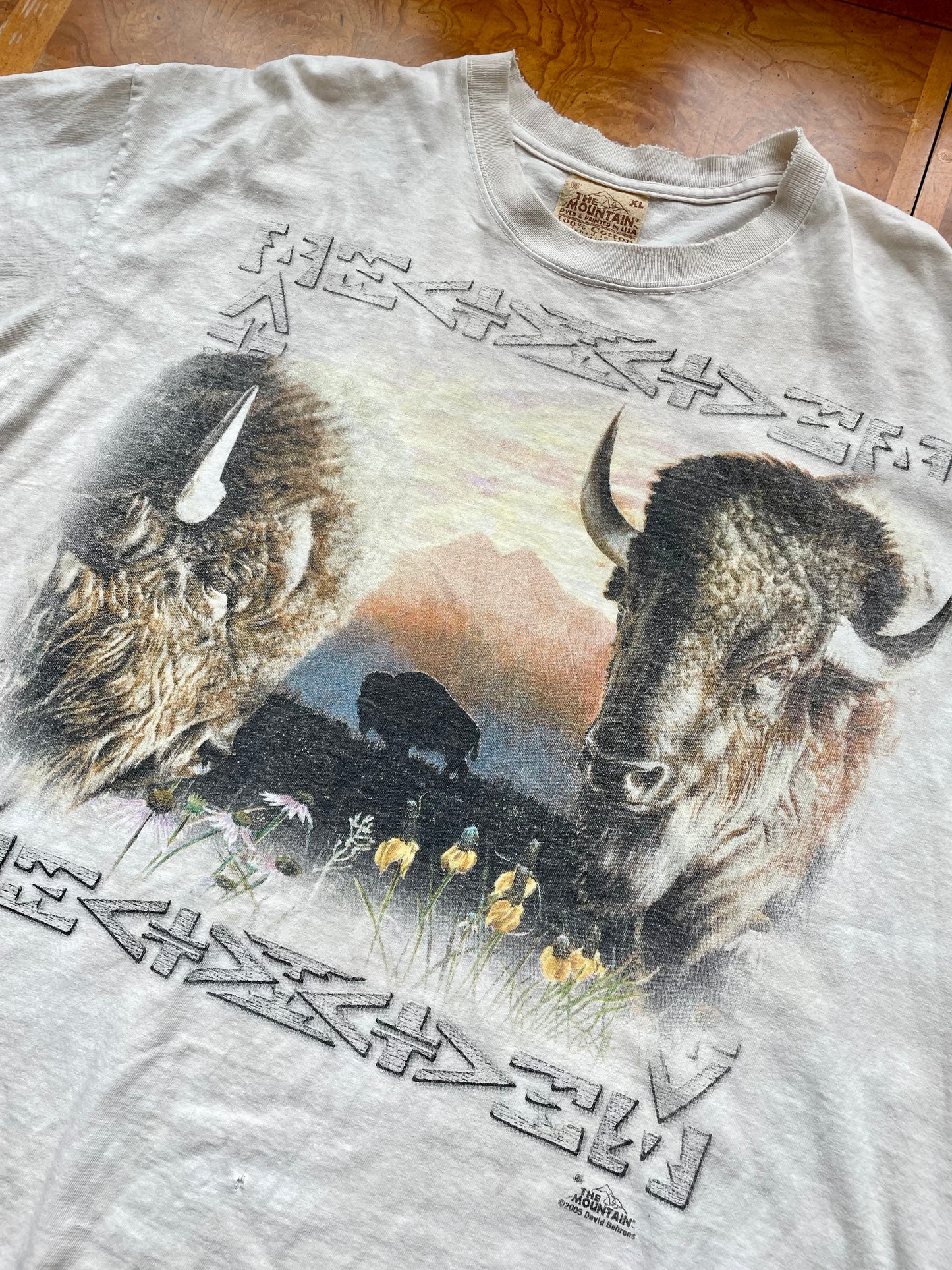 Vintage Buffalo Graphic Tee (XL)