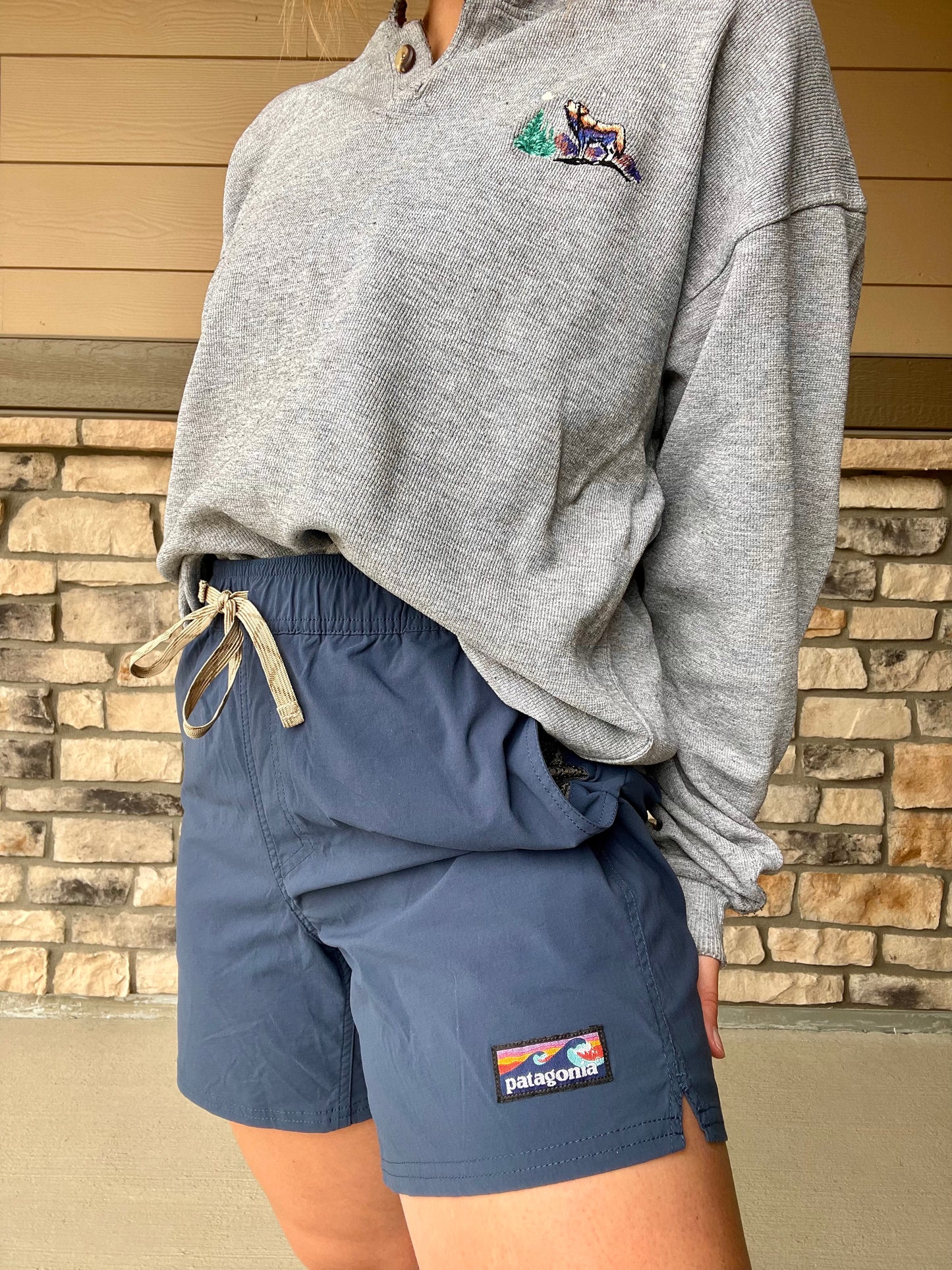 Patagonia Navy Shorts (Men's M)