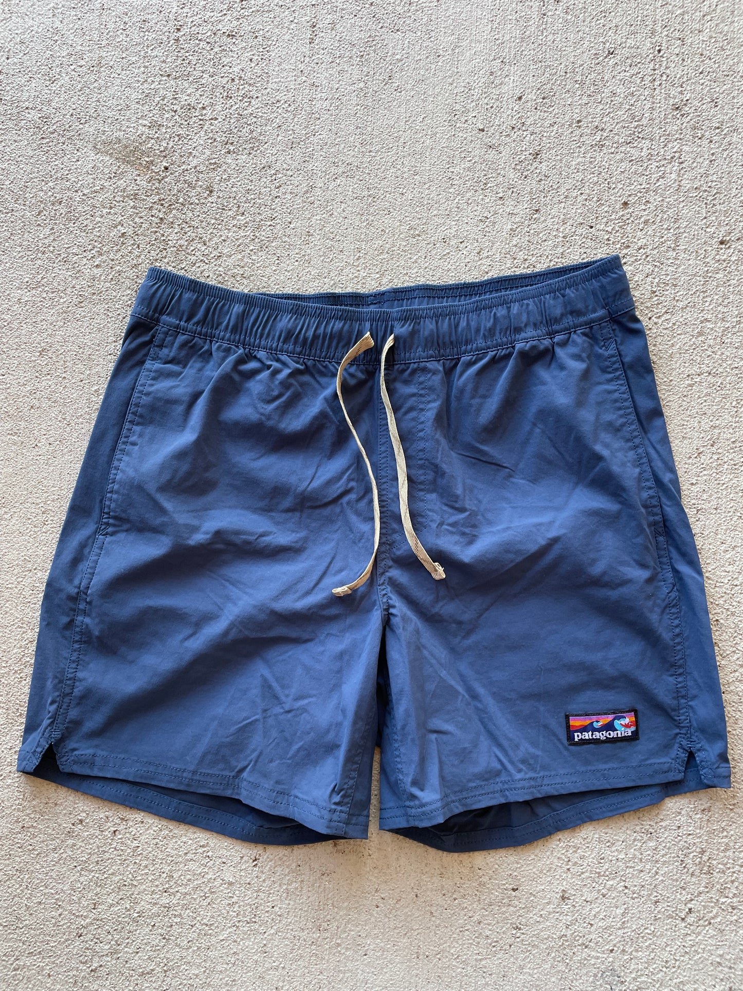 Patagonia Navy Shorts (Men's M)