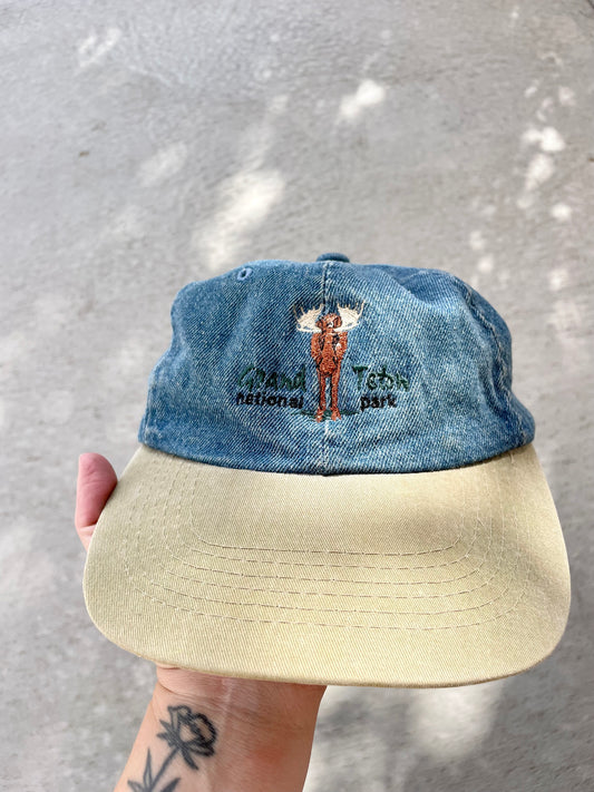 Vintage Grand Teton Denim Dad Cap