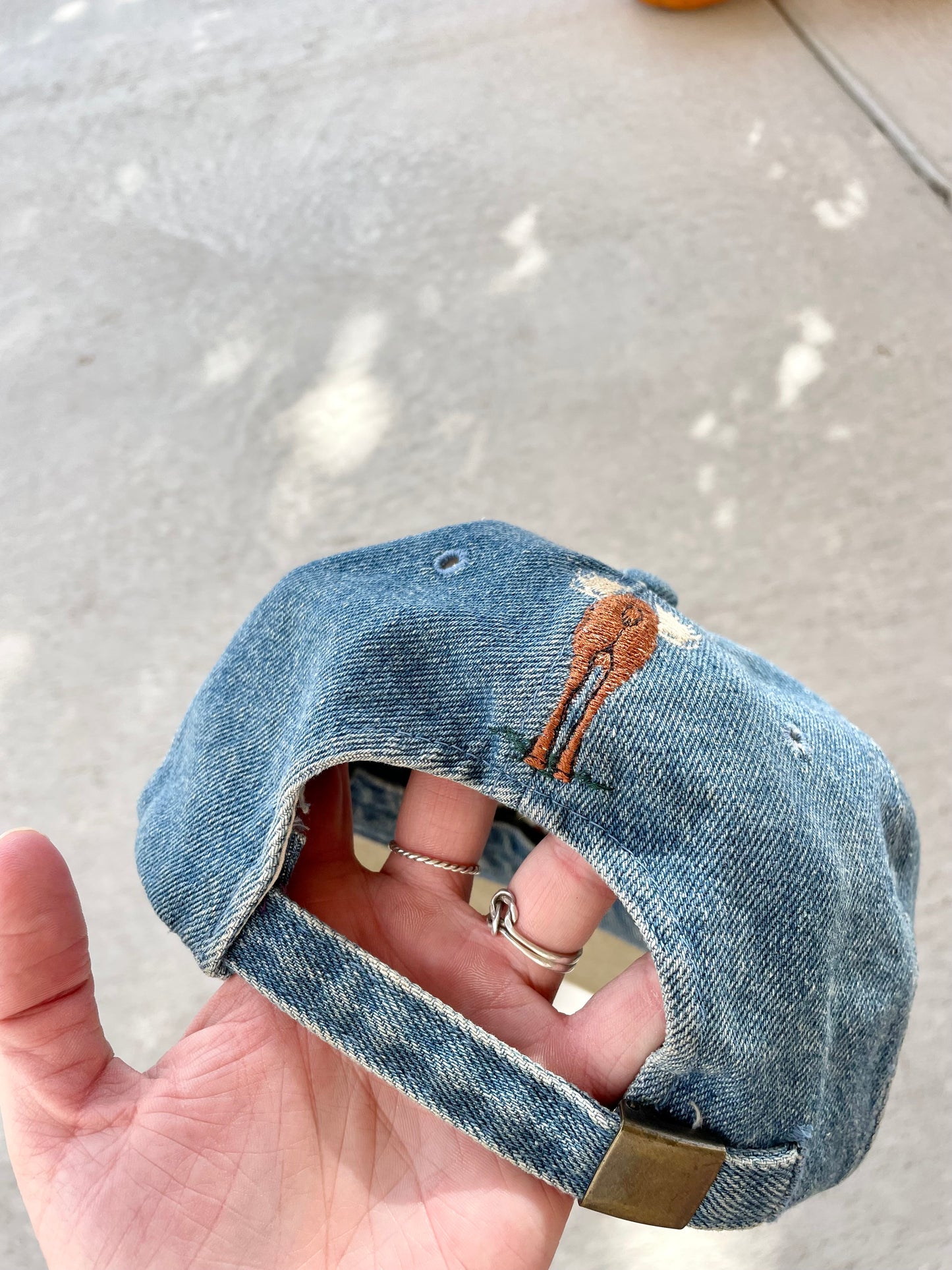 Vintage Grand Teton Denim Dad Cap