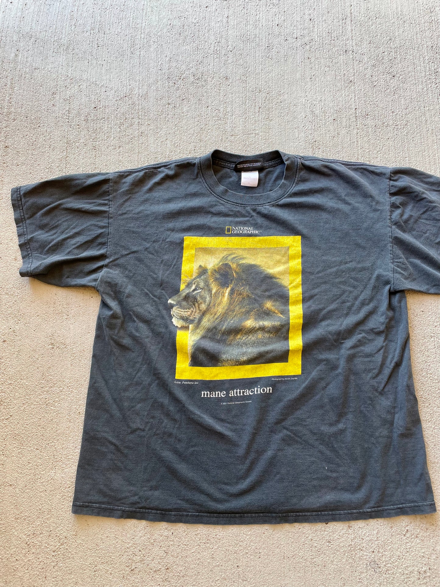 Vintage 2002 National Geographic 'Mane Attraction' Tee (XL)