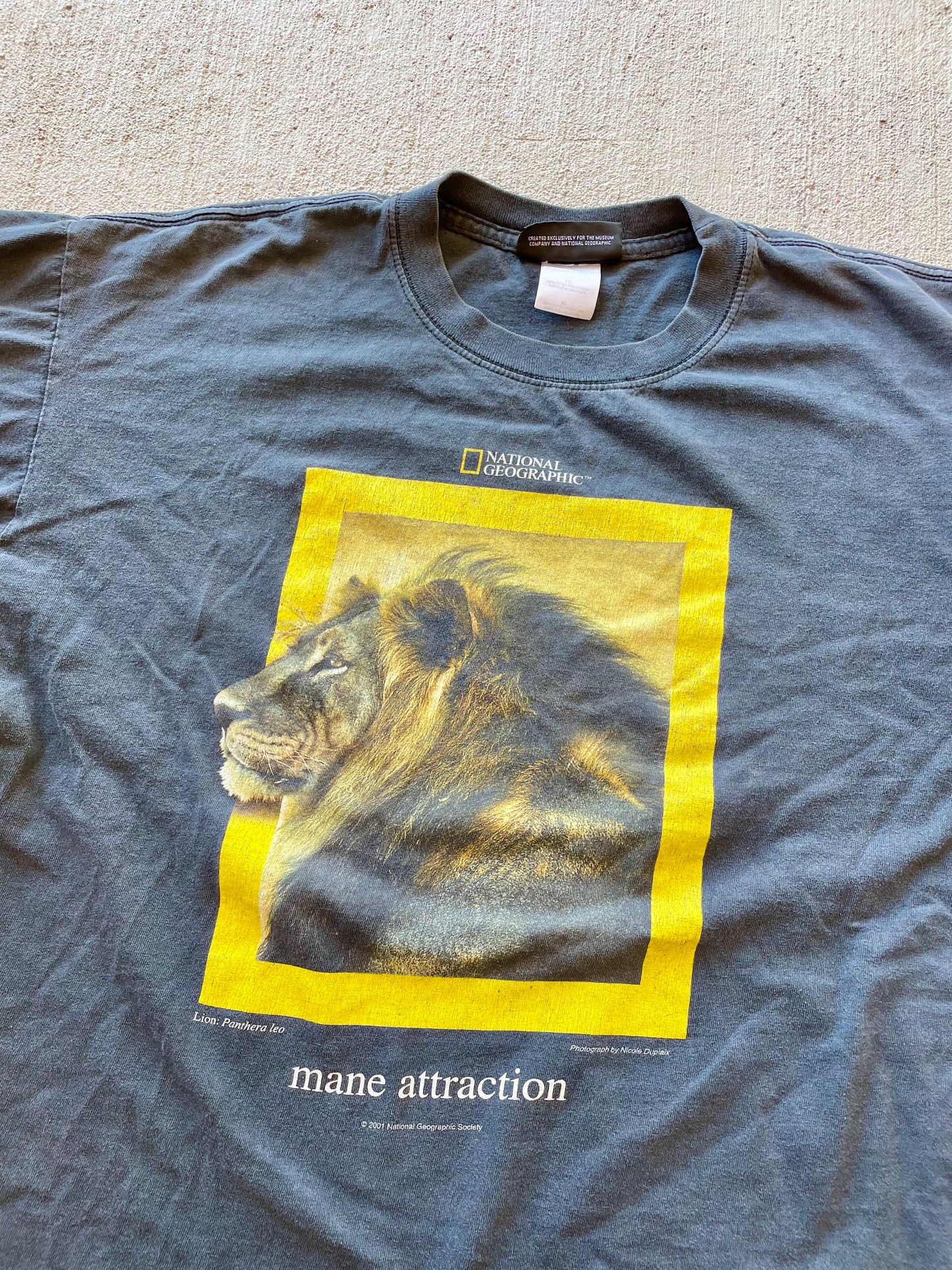 Vintage 2002 National Geographic 'Mane Attraction' Tee (XL)