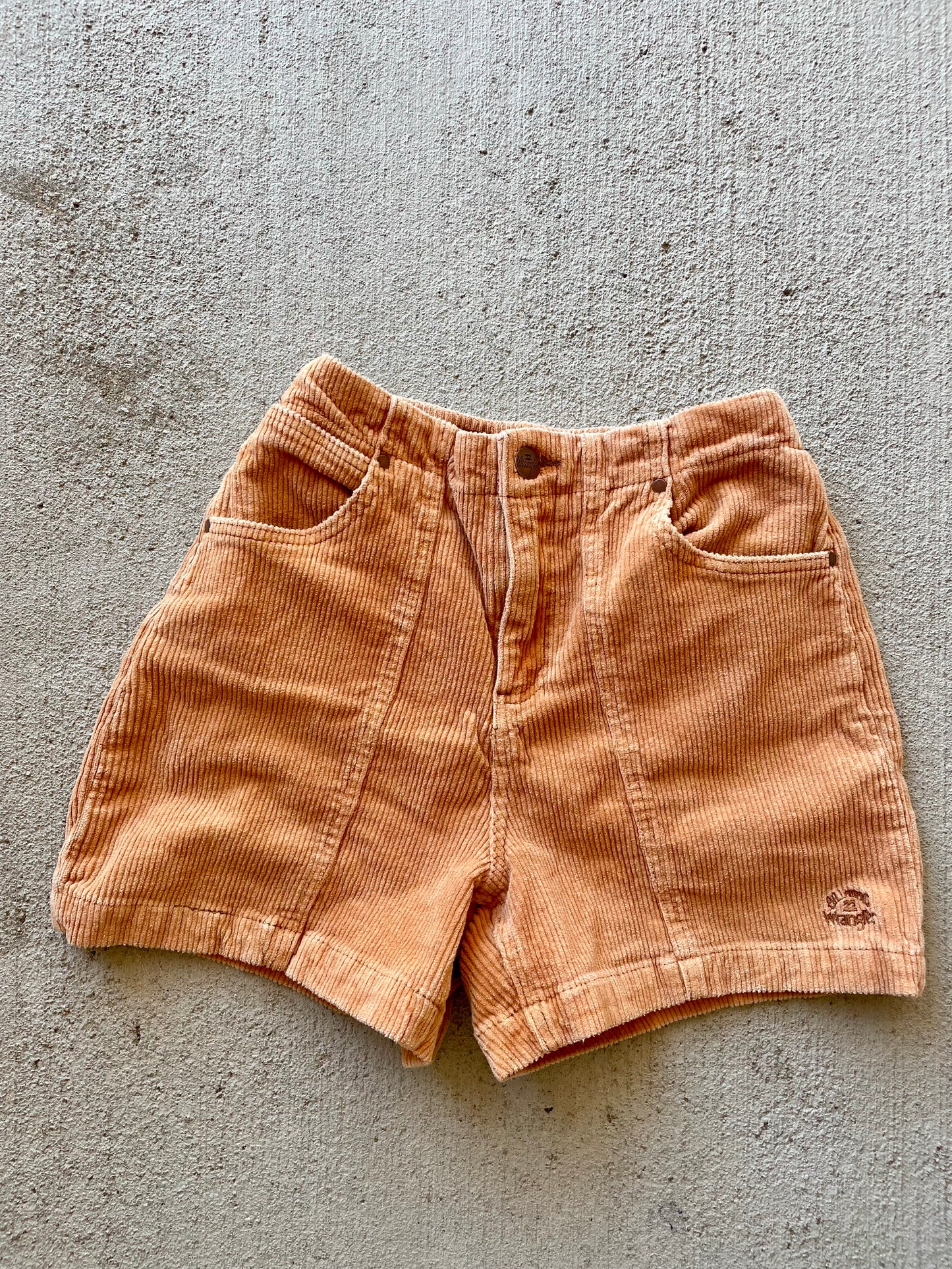 BillabongXWrangler Corduroy Shorts (4/6)