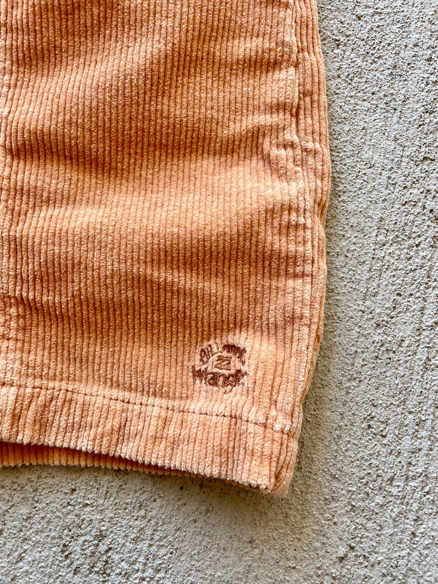 BillabongXWrangler Corduroy Shorts (4/6)