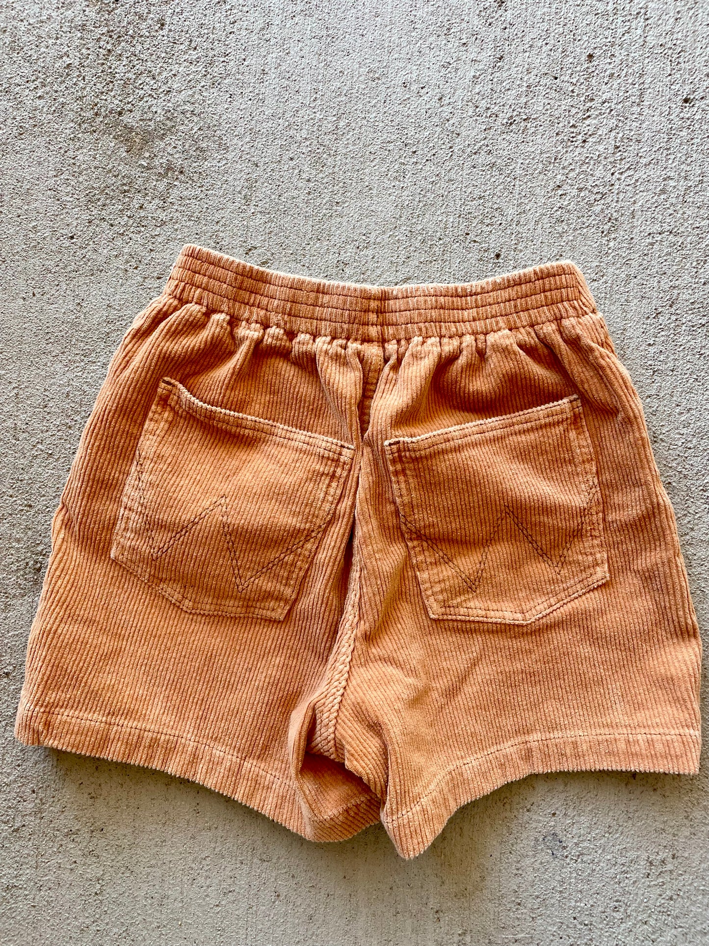 BillabongXWrangler Corduroy Shorts (4/6)