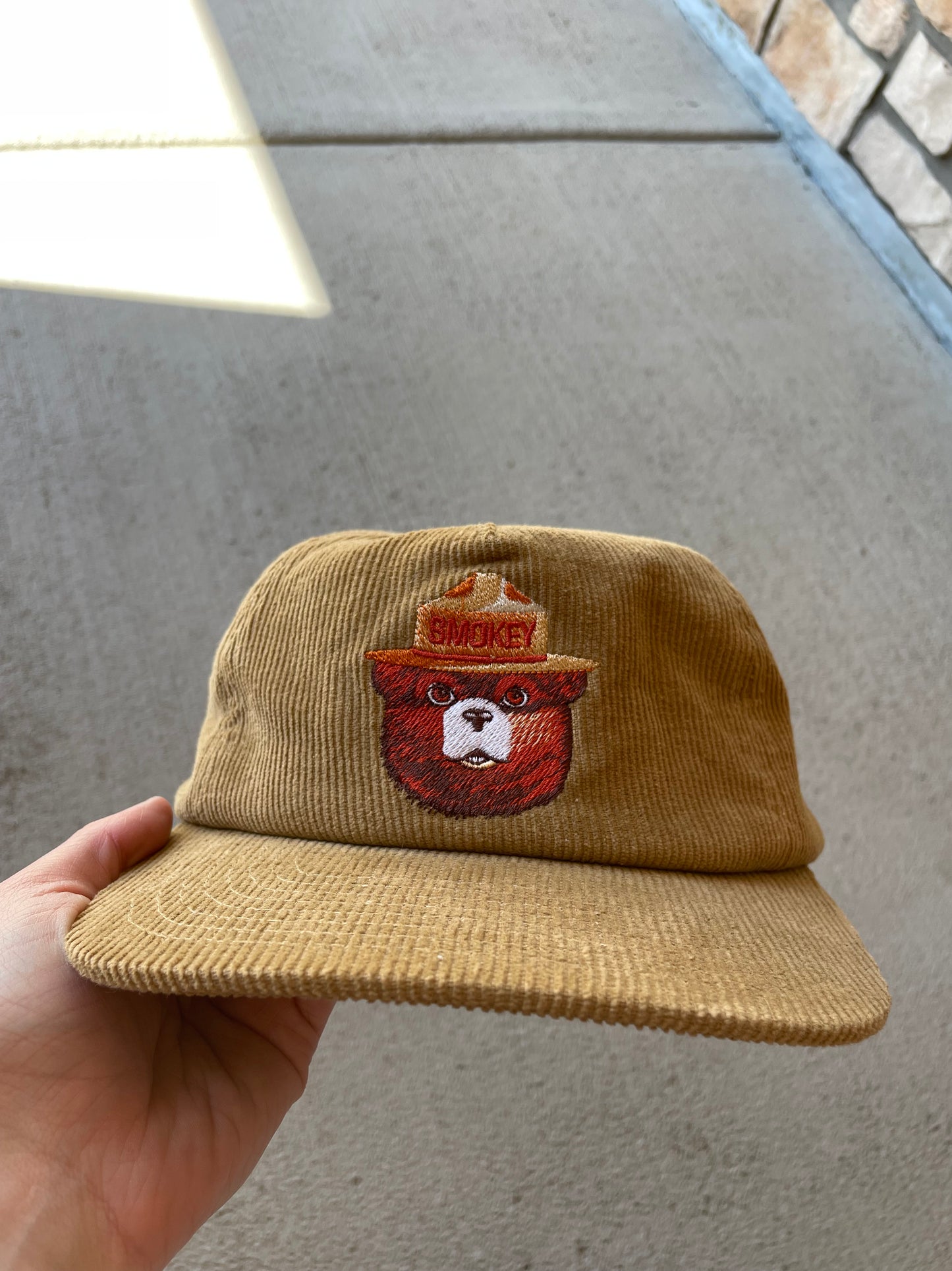 Teton Gravity Research Smokey the Bear Hat